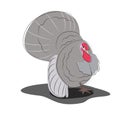 Vector illustration of a male wild turkey.