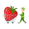 Vector illustration of man and strawberry logo. Set of man and shopping stock vector illustration.