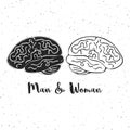 Vector illustration of man and woman brains. These are iconic representations of gender psychology, creativity, ideas.