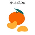 Vector illustration of mandarine.