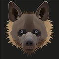 Maned hyena head on a black background
