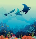 Vector illustration with mantas, freediver and coral reef.