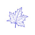 Vector illustration of maple leaf in doodle style, sketch line art isolated on white background Royalty Free Stock Photo