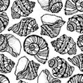 Vector illustration of marine seamless pattern. Hand drawn sea shells. Coloring page book Royalty Free Stock Photo