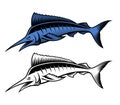 Vector illustration of a marlin