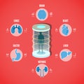 Vector illustration of Medical health screening concept with icons of internals