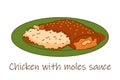 Vector illustration of Mexican coisine Chicken with rice and moles sauce