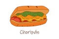 Vector illustration of Mexican cuisine Choripan, argentinian hot dog
