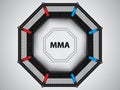 MMA octagon cage Royalty Free Stock Photo