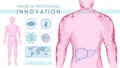 Vector illustration of modern medical examination of human body. concept human body scan, liver medical care. Anatomy