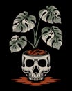 Vector illustration monstera flower in skull pot Royalty Free Stock Photo