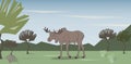 Vector illustration of moose that goes on nature Royalty Free Stock Photo