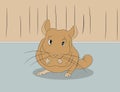 Vector illustration of a mouse in the house