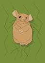 Vector illustration of a mouse on nature