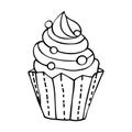 Vector illustration of muffin with cream in doodle style. Cute hand drawn cupcake. For greeting cards, posters, labels