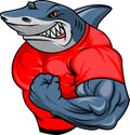 Muscle shark cartoon Royalty Free Stock Photo