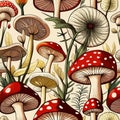 vector illustration with mushrooms, branches, leaves and berries. Set of autumn forest plants, fly Royalty Free Stock Photo