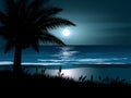 Palm tree silhouette and the moonight in the sea