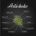 Vector illustration of nutrients list for artichoke on chalkboard backdrop