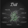 Vector illustration of nutrients list for dill on chalkboard backdrop
