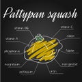 Vector illustration of nutrients list for pattypan squash on chalkboard backdrop