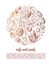 Vector illustration of nuts and seeds in circle composition in gradient brown color Royalty Free Stock Photo