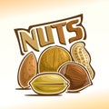 Vector illustration of nuts