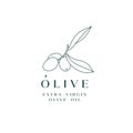 Vector illustration olive branch - simple linear style. Logo composition with olives and typography. Royalty Free Stock Photo