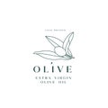 Vector illustration olive branch - simple linear style. Logo composition with olives and typography. Royalty Free Stock Photo