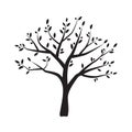 Vector olive tree silhouette Royalty Free Stock Photo