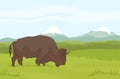 One buffalo on natural mountains background. Landscape Royalty Free Stock Photo