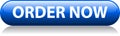 Order now blue button Royalty Free Stock Photo