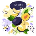 Vector illustration of an organic fruit drink. ripe plum fruits with splash of bright fresh plum juice background. eco concept for