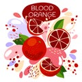 Vector illustration of an organic fruit drink. ripe red blood orange fruits with splash of bright fresh blood orange juice