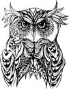 Vector illustration of owl in black and white.