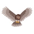 Vector illustration of an owl in flight in flat style Royalty Free Stock Photo