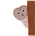 Vector illustration of an owl peeking out from behind a tree in a flat style Royalty Free Stock Photo