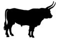 Vector illustration of the oxen Royalty Free Stock Photo