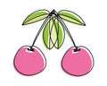 Vector illustration of a pair of cherries or sweet cherries in doodle style. Drawing with an offset outline.