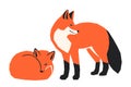 Vector illustration of a pair of foxes, one lies, one stands, simple and bright childish design