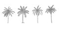 Vector Illustration of Palm Tree Sketch for Design, Website, Background, Banner. Hand Drawing Floral on Beach. Travel Royalty Free Stock Photo