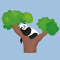 Vector Illustration Of Panda Sleeping In Tree