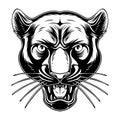 Vector illustration Panther head with cool position and roaring black and white Royalty Free Stock Photo