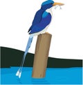 Paradise Kingfisher Perched on a Piling Eating a Fish Illustration