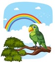 A parrot with a vibrant rainbow