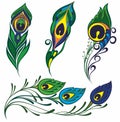 Vector illustration pattern with stylized peacock feathers on white Royalty Free Stock Photo