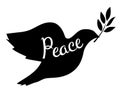 Vector Peace Dove with Olive Branch. Royalty Free Stock Photo