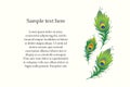 Vector illustration of peacock feather. Royalty Free Stock Photo