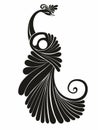 Vector illustration of a peacock  for an icon, symbol or logo. Peacock logo. Vector illustration Royalty Free Stock Photo