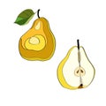 Vector illustration. Pear, cut pear, half pear. Color image. Royalty Free Stock Photo
